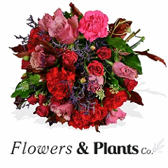 Link to the Flowers & Plants Co website